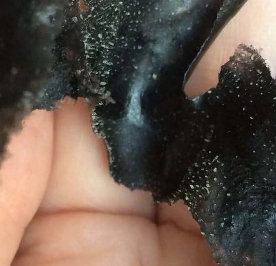 Маска из активированного угля. Маска из угля и желатина. маска с углем и желатином от черных точек. пленка от черных точек.