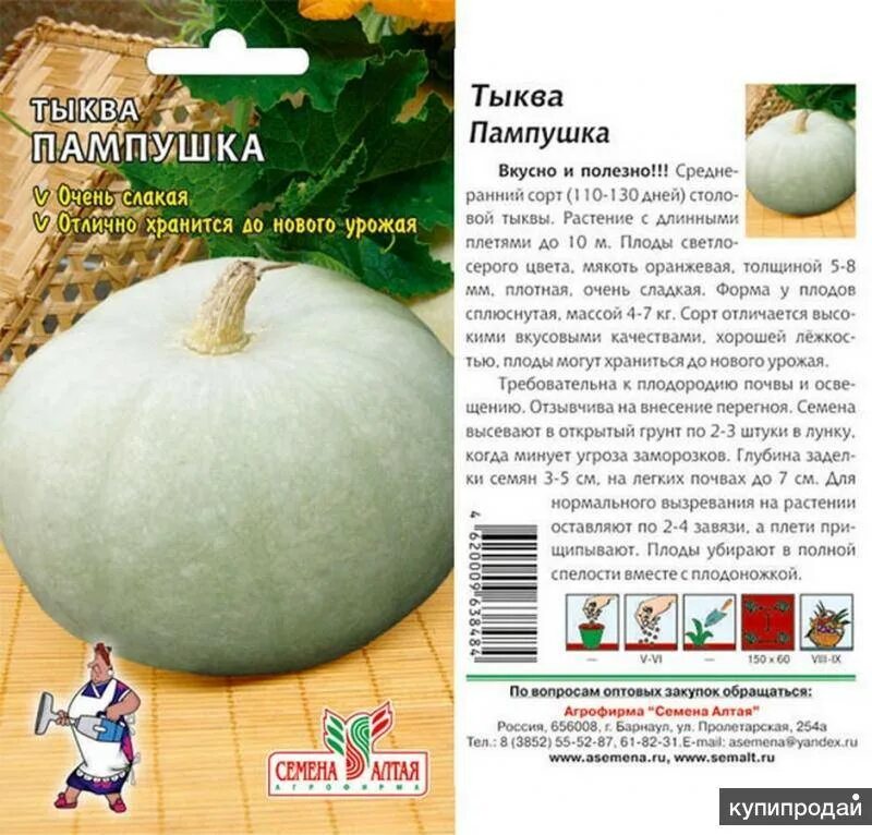 Медовый десерт 5шт тыква (сиб сад). Тыква крупноплодная мраморная. Тыква характеристика и описание сорта. Тыква конфетка 2 г (аэлита). Тыква характеристика и описание сорта.