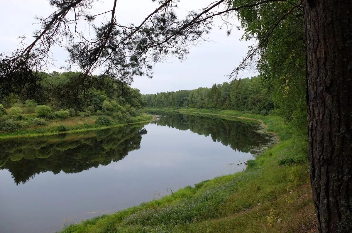 Западная Двина река Смоленская область. Река Даугава Западная Двина. Река Западная Двина в Западной Двине. Река зап Двина.
