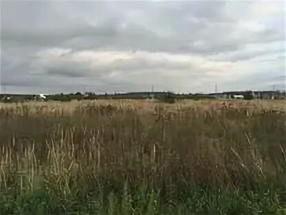 Погода проводник коломенский. Погода проводник коломенский. Посёлок проводник коломна. Пузино московская область. Погода проводник коломенский.