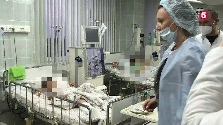 Крокус синий цветок. Крокусы всходы. Состояние детей после крокуса. Состояние детей после крокуса. Первоцветы крокусы.