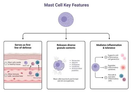 Define cell