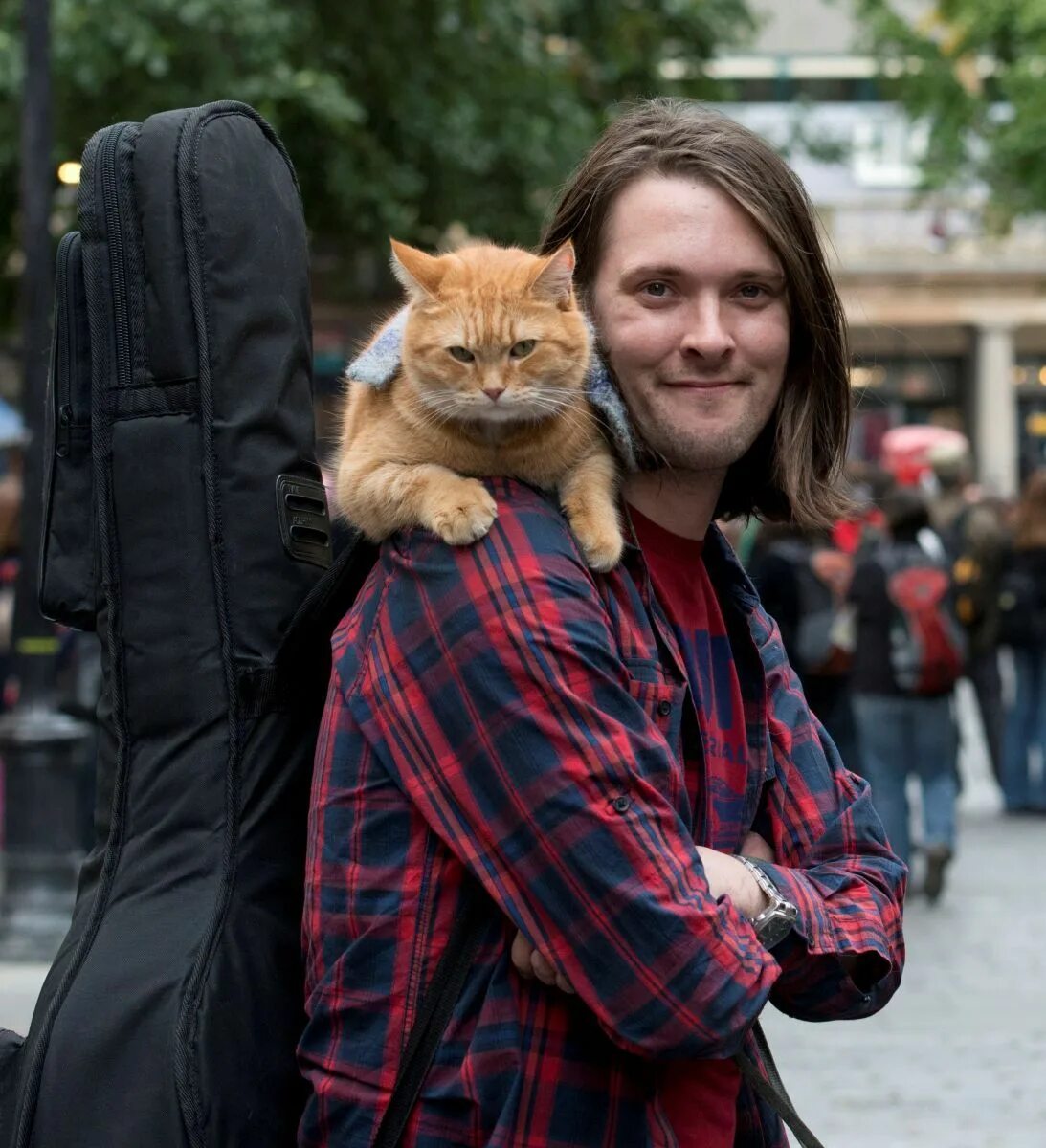 Cat named bob. Джеймс боуэн уличный кот по имени боб. Джеймс боуэн. Cat named bob. Джеймс боуэн сейчас 2021.