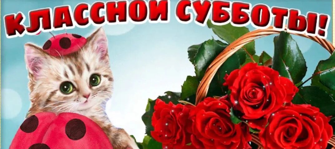 Удачной субботы картинки. Открытки с субботой. открытки прекрасной субботы. открытки с субботой прикольные. открытки классной субботы.