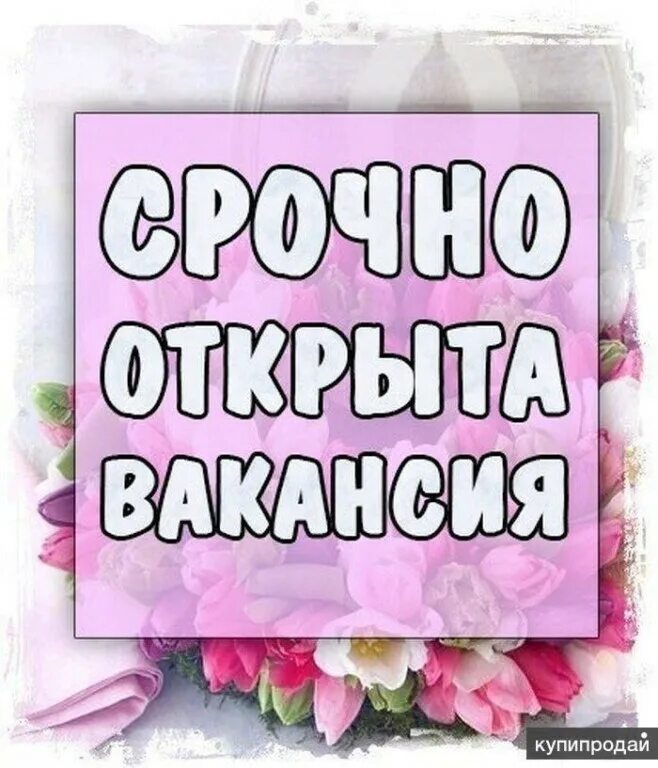 Срочно бывший. Срочно требуется. открыта вакансия. срочно требуется сотрудник. срочно вакансия.