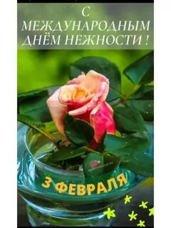 День нежности когда 2024