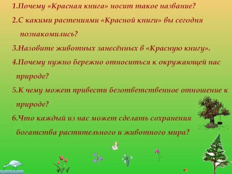 Почему красный быстрее. Красная книга Красноярского края. Красная книга Красноярского края растения и животные. Животные красной книги Красноярского края. Красная книга Красноярского края презентация.