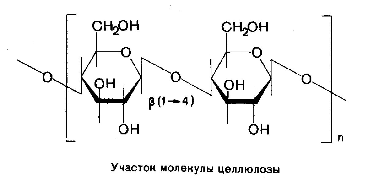 Строение молекулы крахмала и целлюлозы. Структура молекулы целлюлозы. Химическая структура целлюлозы. Элементарное звено целлюлозы схема. Клетчатка химическая формула.