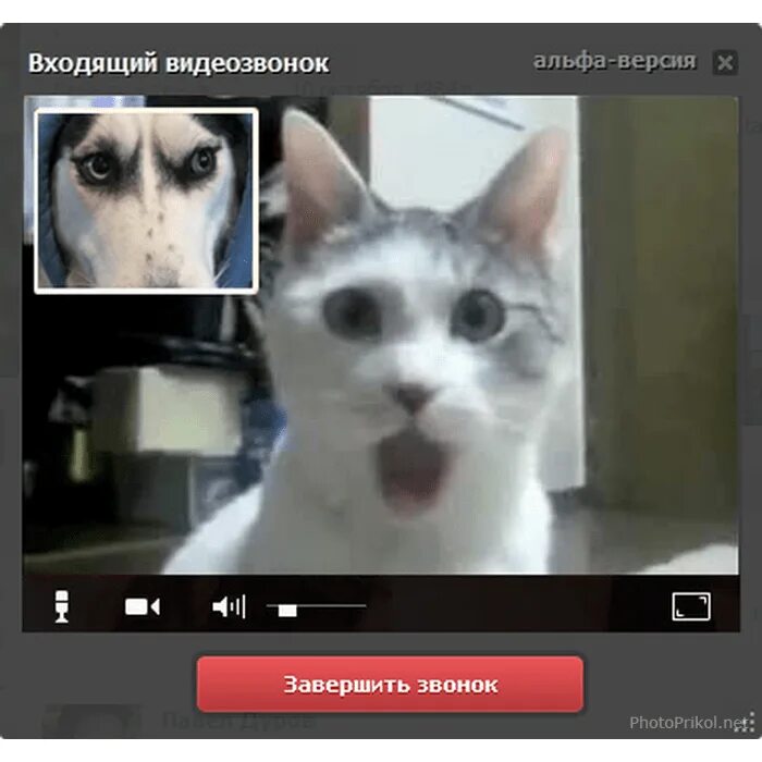 Говорящая добавить