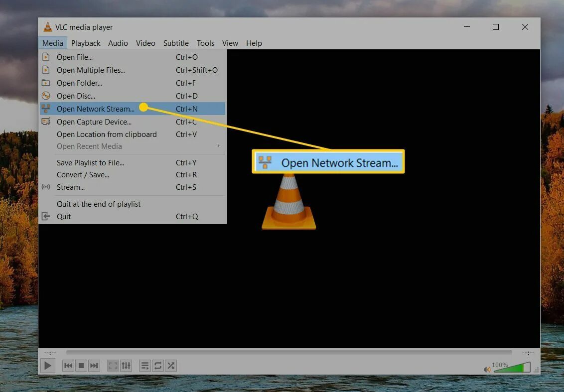 VLC. VLC Media Player. VLC (медиаплеер). VLC Media Player Скриншоты.