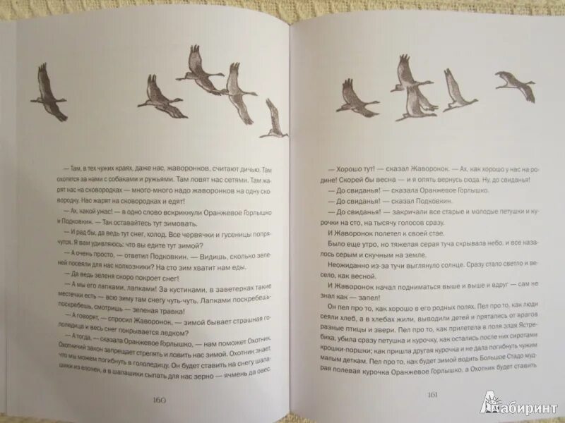 Бианки оранжевое горлышко текст полностью. В В Бианки оранжевое горлышко Мурзук. Бианки в. "оранжевое горлышко". Бианки на Новгородской земле.