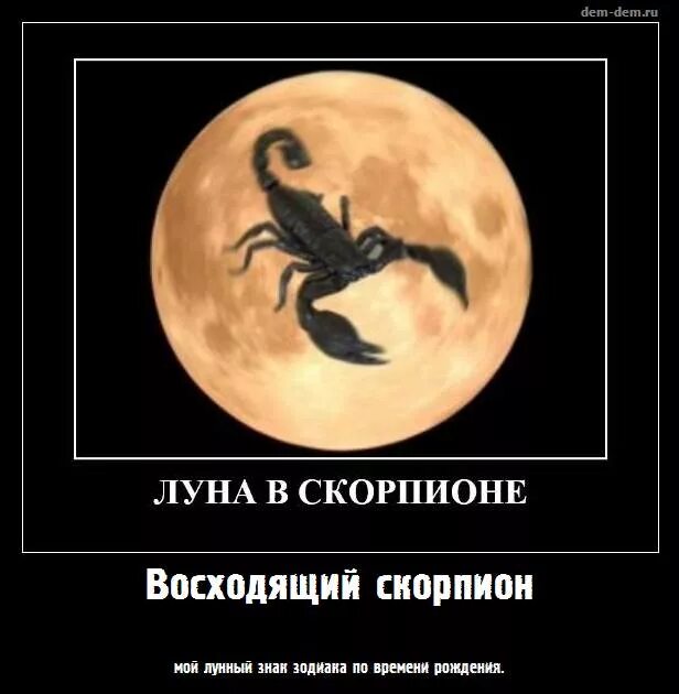 Скорпион прикол картинки. Луна в скорпионе. мемы про скорпионов знак зодиака. смешно про скорпионов. луна в знаке скорпиона.