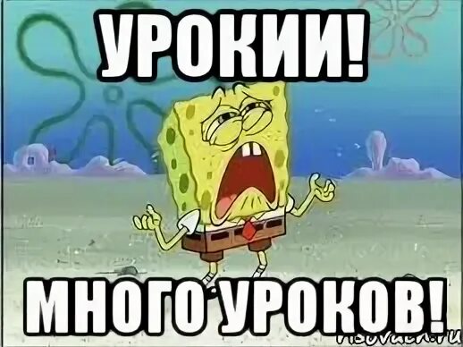 Много задавали