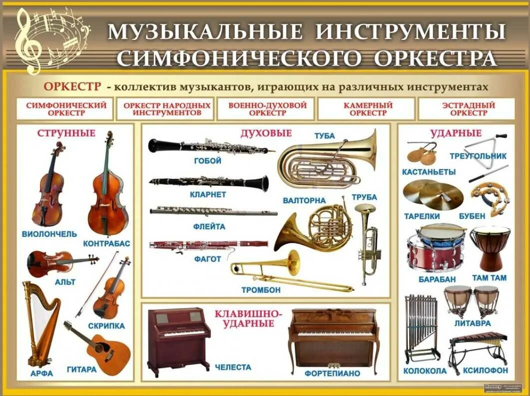 Какие виды музыкальных инструментов
