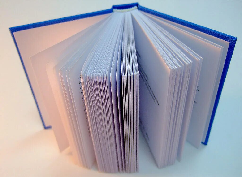 типография белый