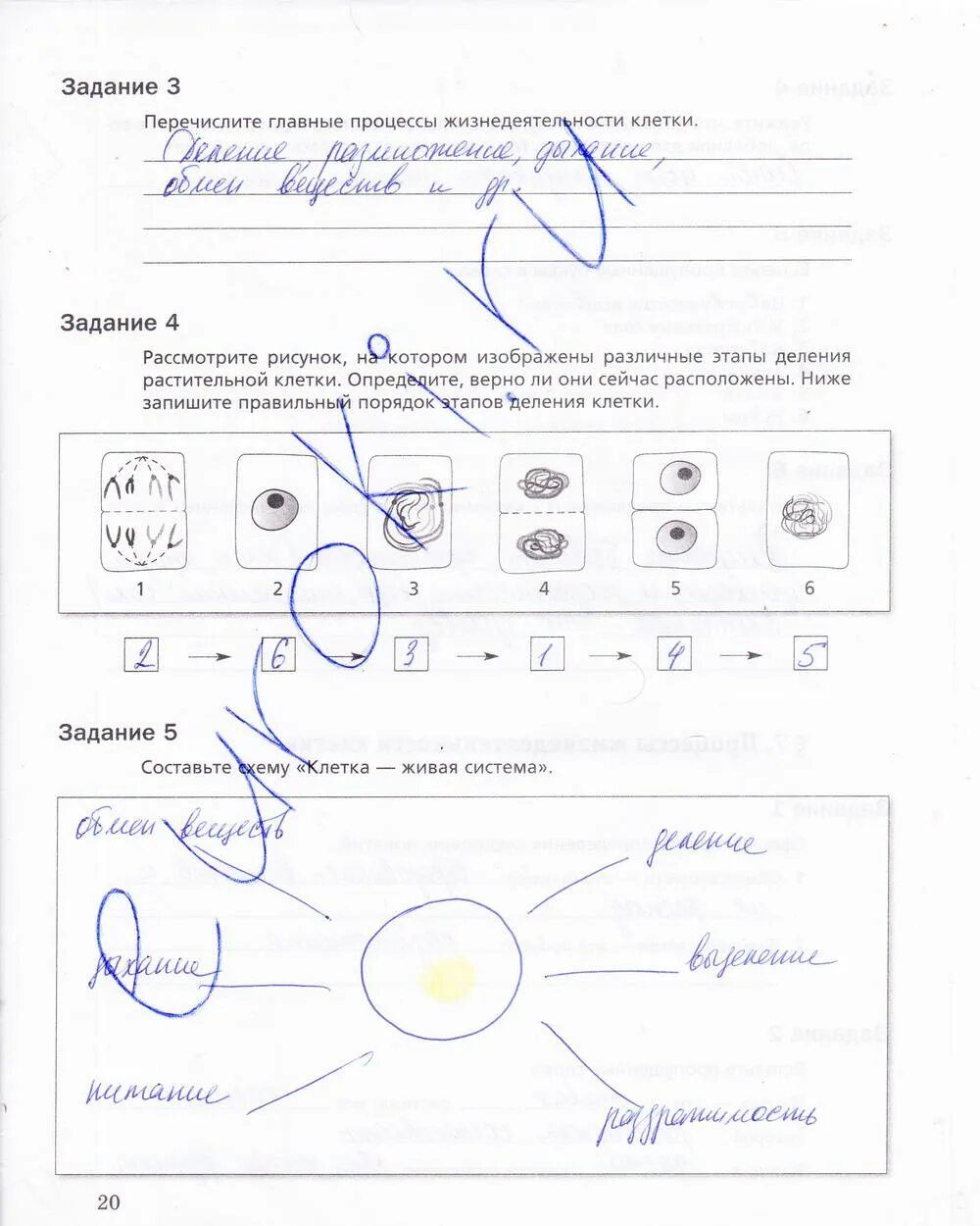Биология 5 класс 2023 стр 101. Рабочая тетрадь а.о.Корнилова 5 класс биология стр 20. Схема клетка Живая система 5. Тетрадь с заданиями по биологии 5 класс. Биология 5 класс рабочая тетрадь стр 20.