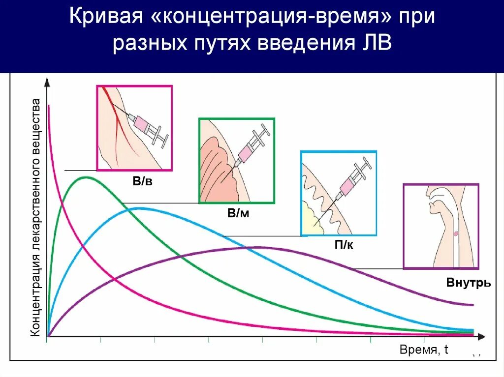 Фармакокинетическая кривая при различных путях введения. Кривая плазменная концентрация время. Фармакокинетическая кривая при внутривенном введении. AUC – площадь под фармакокинетической Кривой.