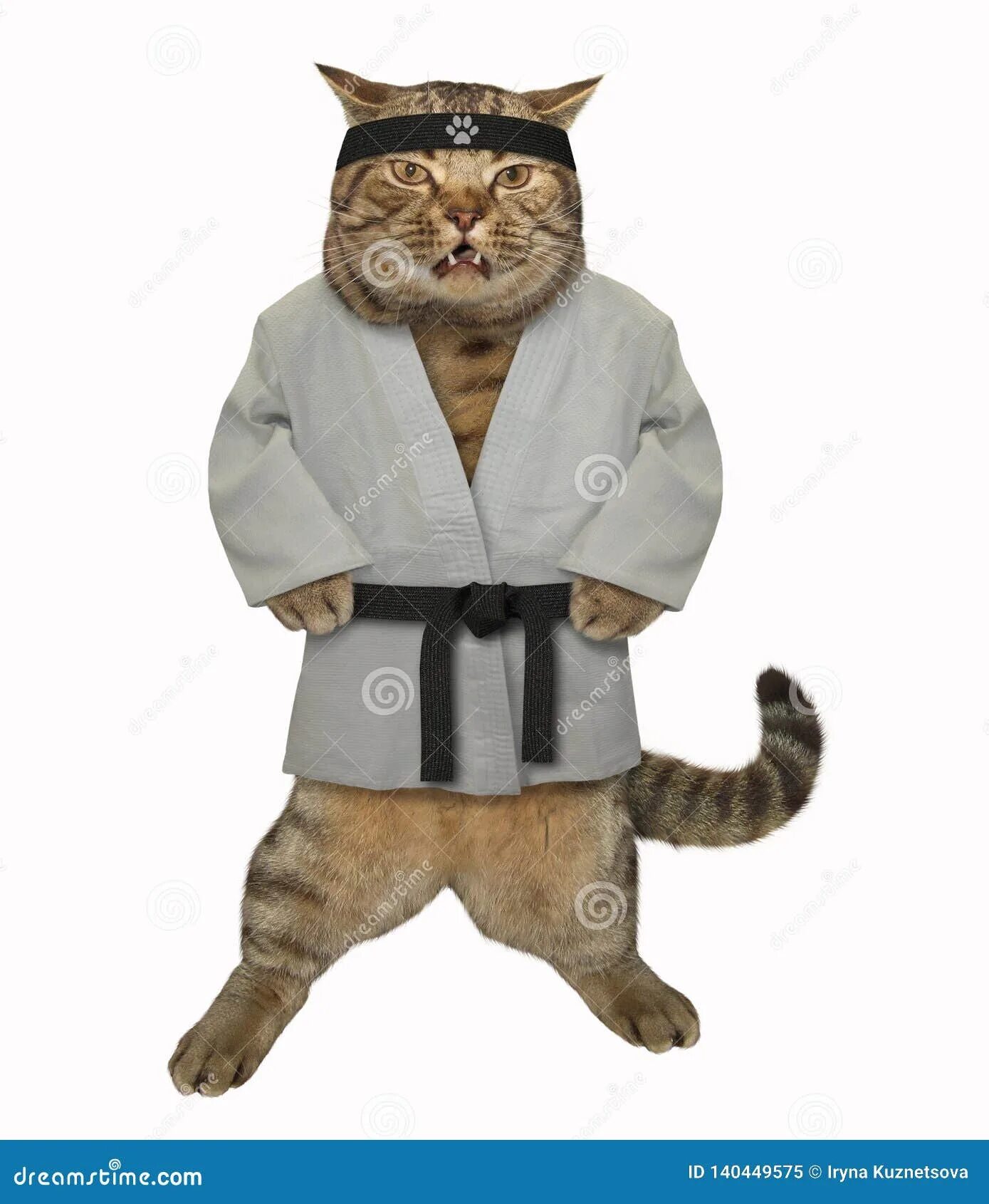 Кот в кимоно