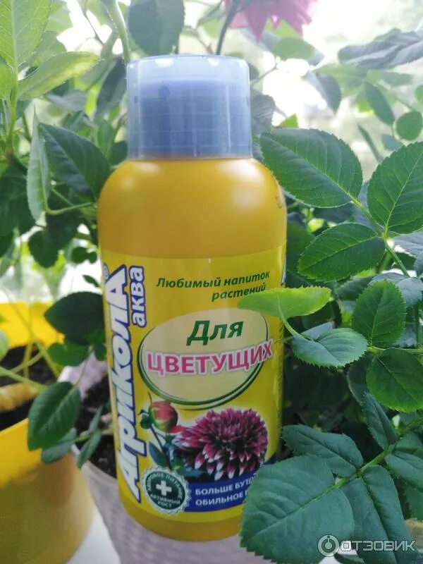 Агрикола для цветущ растений пак. Агрикола для комнатных 25 гр. Удобрения агрикола для герани. Удобрение в маленьких пакетиках для цветов. Агрикола для цветущих.