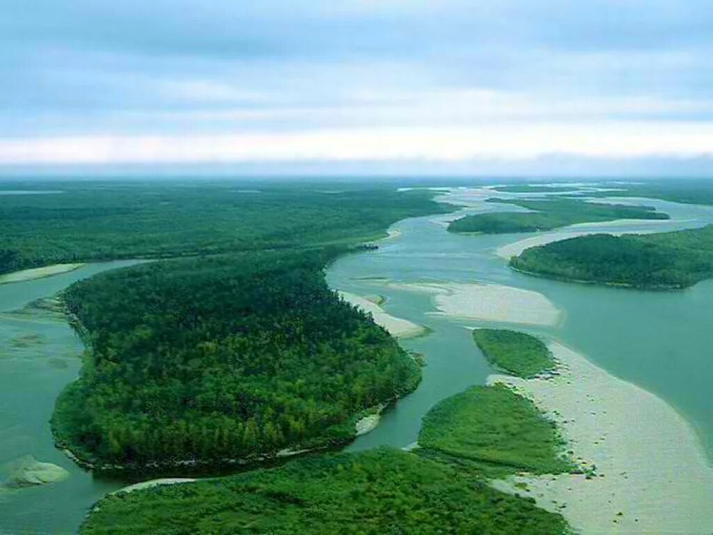 дельта реки лена. дельта реки енисей. дельта это в географии. дельта реки и устье реки. дельта волги астраханский заповедник.