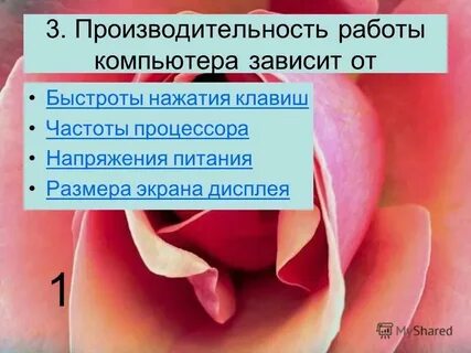 Производительность работы компьютера зависит от ответ