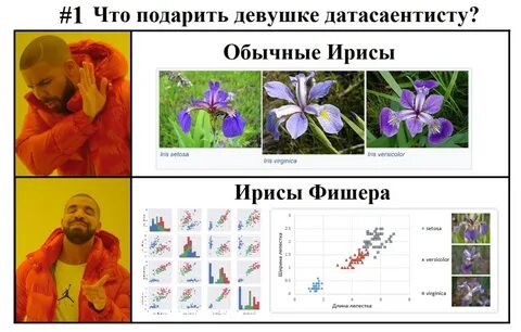 Ирисы фишера