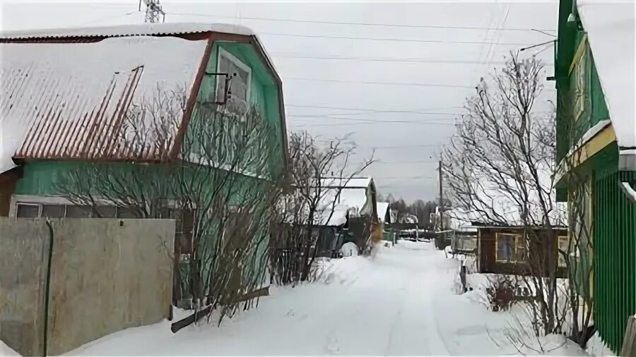 Садовые домики в коллективном саду. Коллективные сады екатеринбурга. Коллективный сад 32 екатеринбург уралмаш. Сад шахтер екатеринбург участок 15. Коллективные сады екатеринбурга.