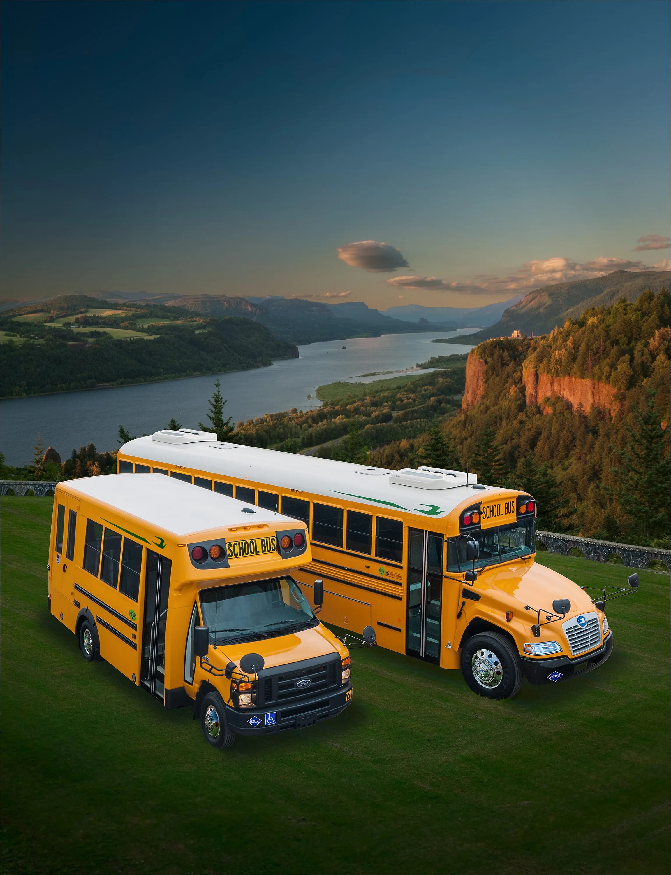 Bus popular