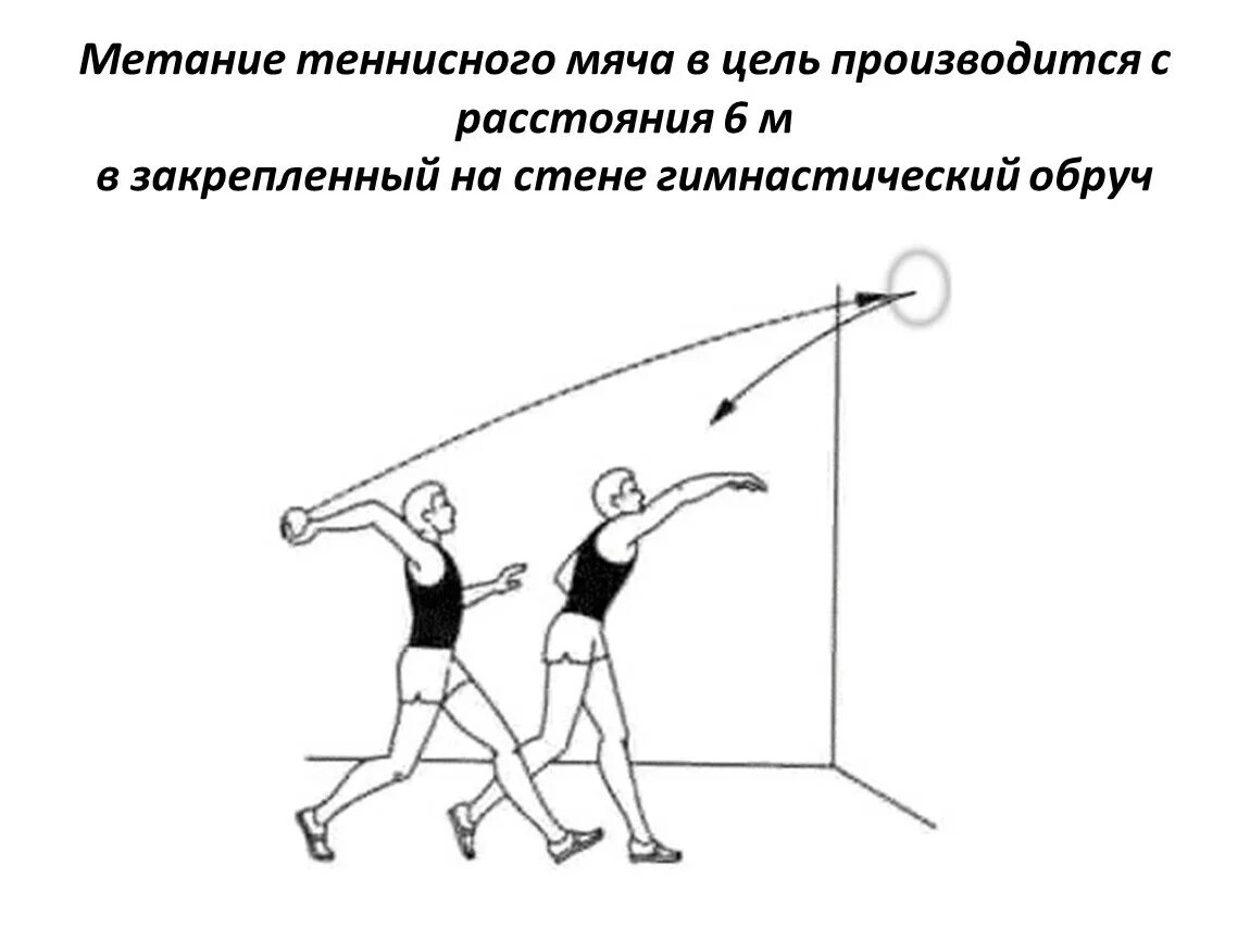 Метание теннисного мяча в цель дистанция 6 м. Техника метания теннисного мяча. Техника метания малого мяча в вертикальную цель с места. Метание теннисного мяча в цель, дистанция 5 м. Метание в вертикальную цель