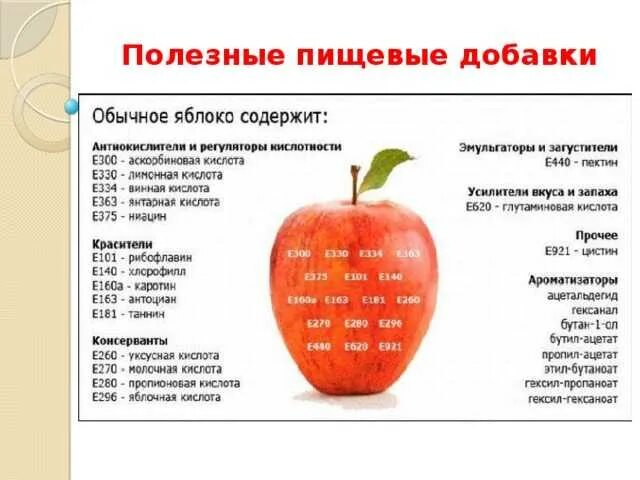Из чего состоит е