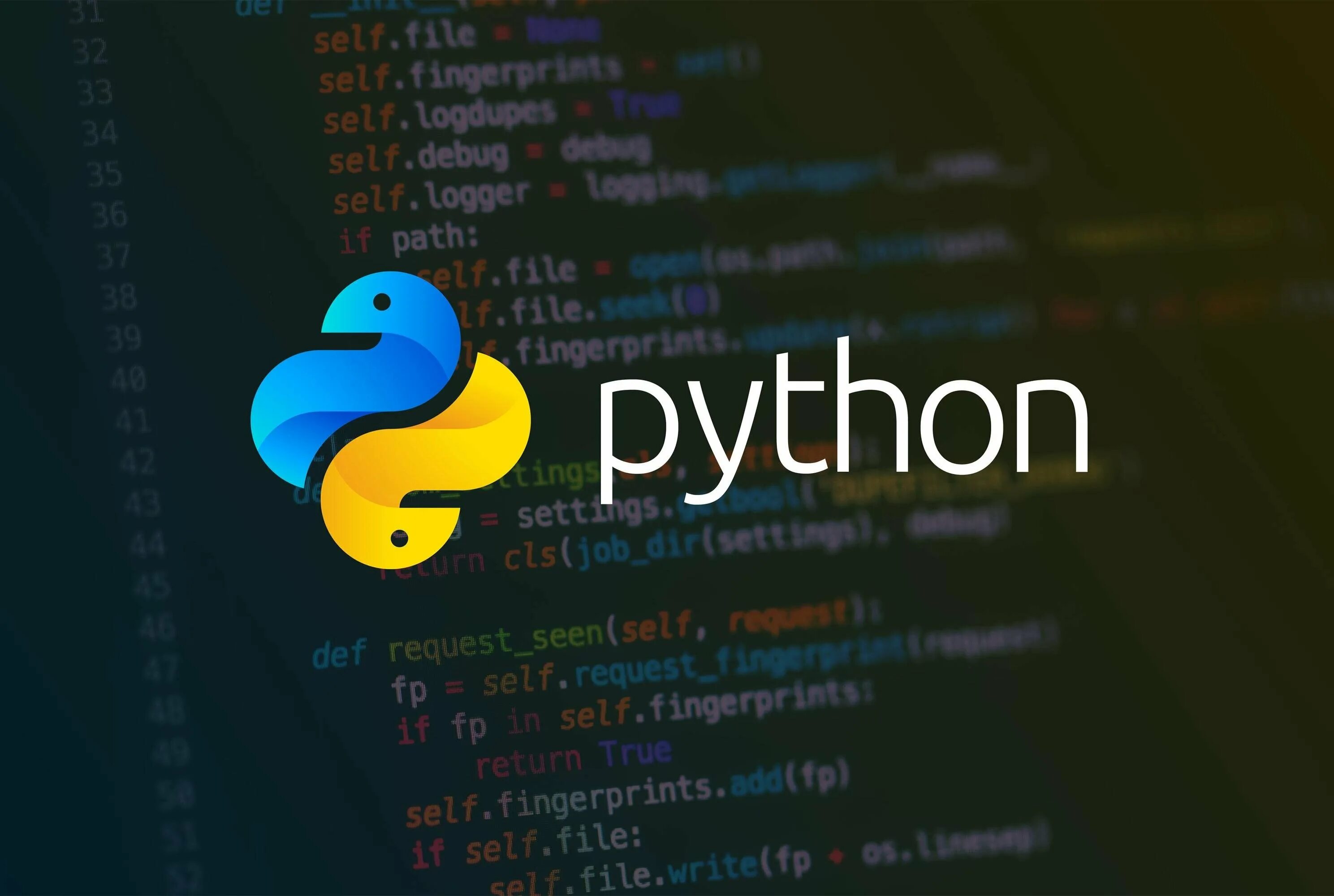 Курс python. Python. Питон программирование. Питон логотип. Python картинки.