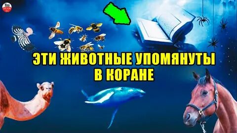 Животные в коране