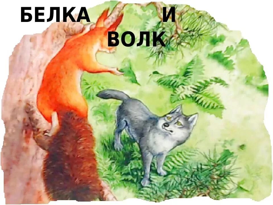 Сказка л толстого белка и волк. Иллюстрации к сказке белка и волк Толстого. Басня л н Толстого белка и волк. Сказка Толстого л.н. волк и белка.