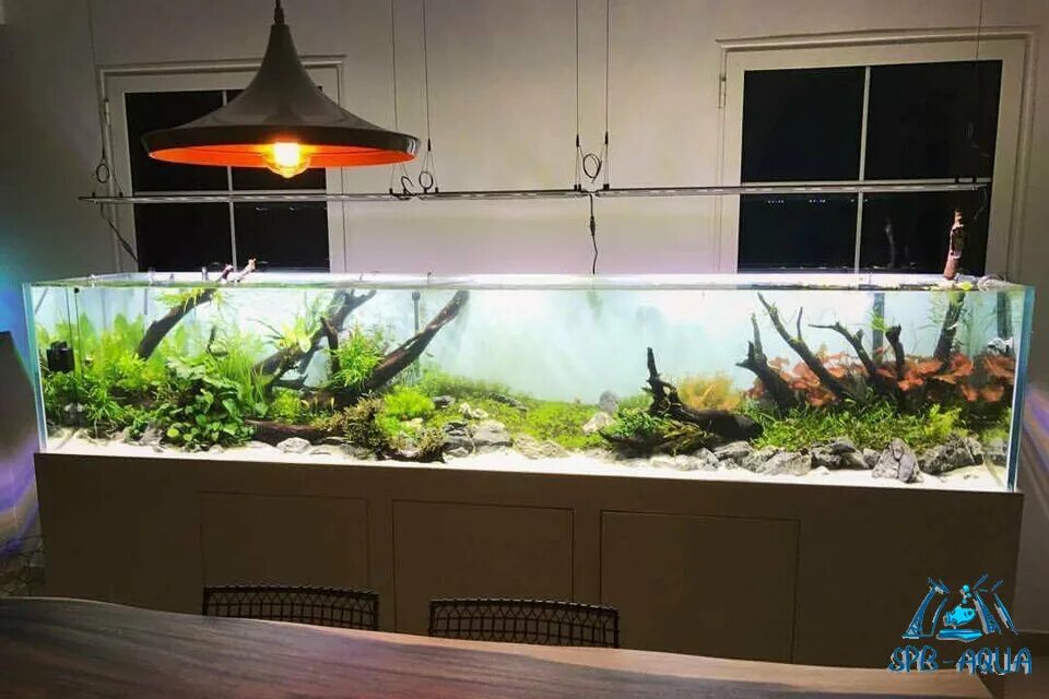 Аквариум на заказ. Аквариумы карте. Аквариум в студии. Аквариум barbus 17 литров. Аквариум полукруглый.