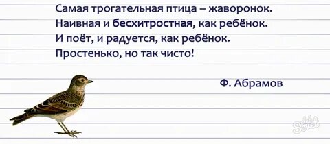 Перенос слова жаворонки