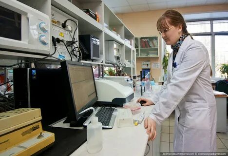 Институт биологических систем