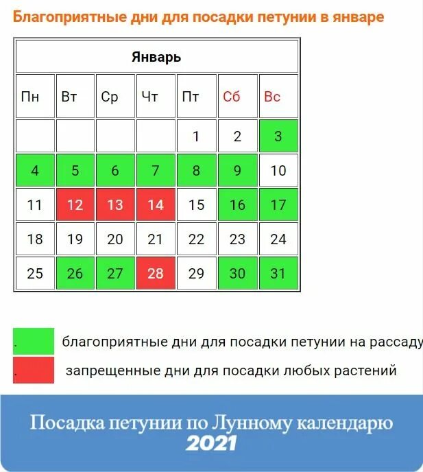 Благоприятные дни для посева петуньи