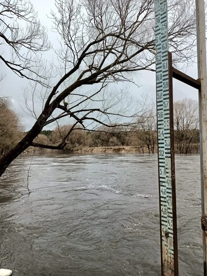 Подъем уровня воды в реке. Паводок 2022 Калуга. Обнинск половодье Протва 2022. Паводок 2022 Обнинск Протва. Разлив реки Протва 2022 в Заречье.