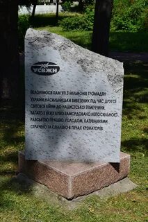 Там яра