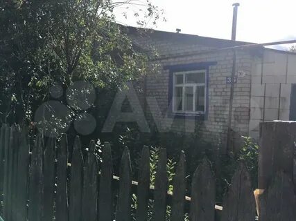 Авито кемля
