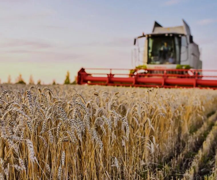 апк крыма. поддержка производителей зерна. черноморское сельское хозяйство. сельское хозяйство. аграрная россия.