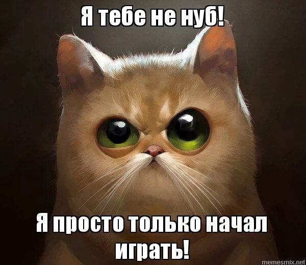 котики мемы играть. кот играющий на пианино мем. кот играет в комп. кот игроман. кот на пианино.