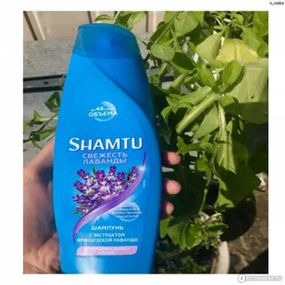 Производитель шампуня