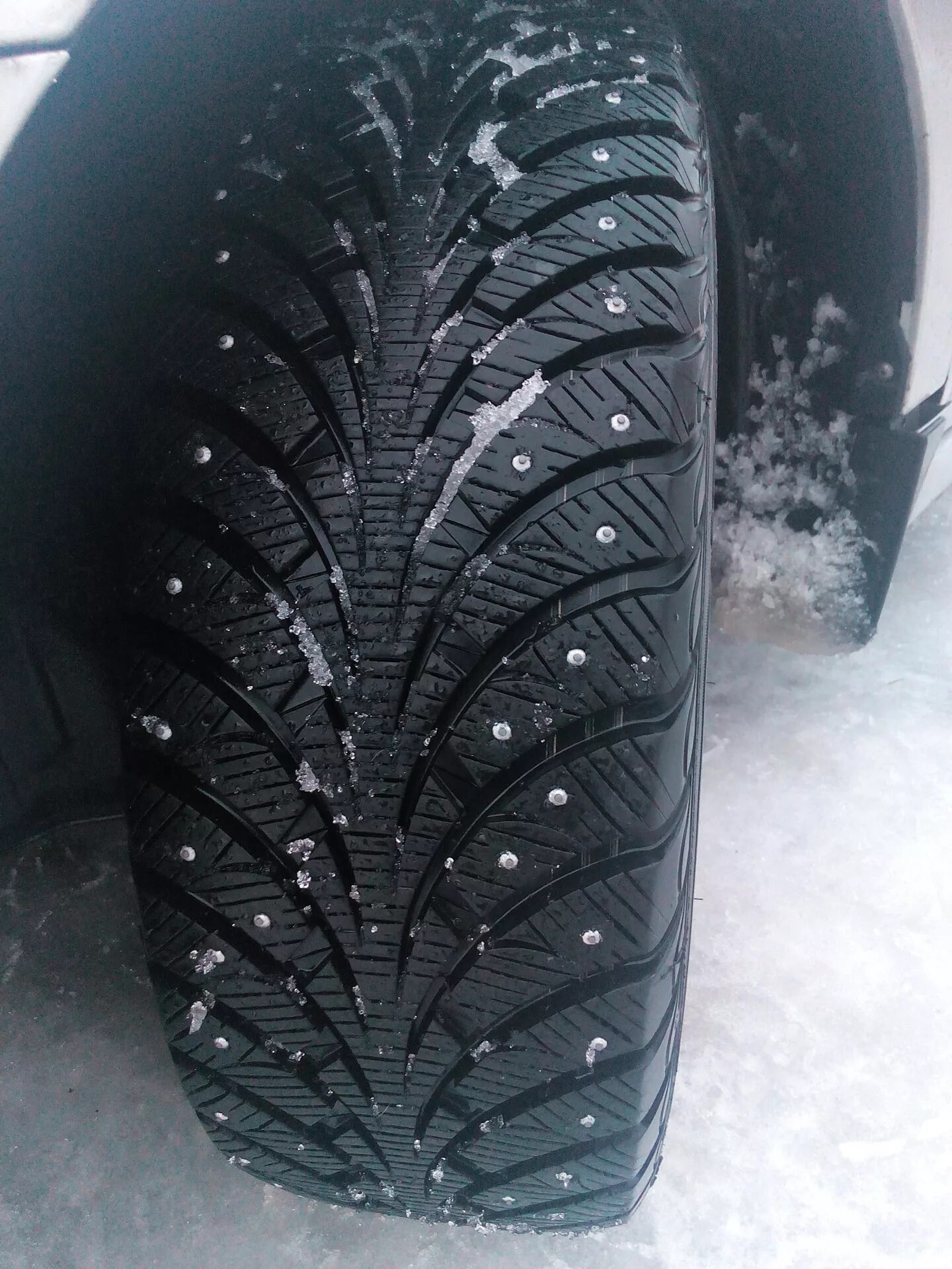 Шины эскимо. Sava Eskimo stud 215/65 r16. Eskimo r16 Sava stud. Сава эскимо шины зимние шипованные. Sava Eskimo зимняя резина.