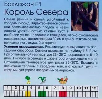 Баклажан король севера описание