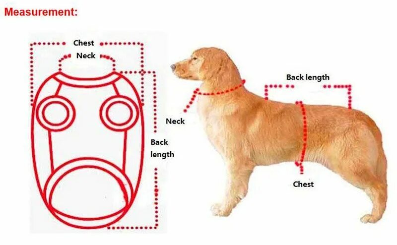 Что значит back. Замеры собаки для одежды. Обмеры собаки для одежды. Замерить собаку для одежды. Как измерить собаку.