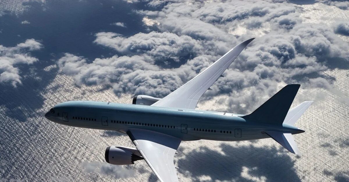 Служба авиационной безопасности в аэропорту. Боинг 737 макс 8 american. Боинг 737 макс 8 american. Инструкция по безопасности 777. Авиационная безопасность в аэропорту.