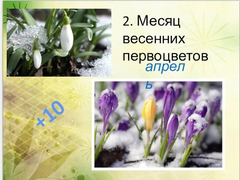 Апрель месяц первоцветов. Второй месяц весны. Апрель второй месяц весны. Апрель месяц весенних первоцветов 4. Со вторым месяцем весны.