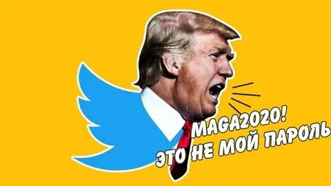 Соц сеть трампа