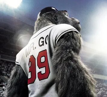Mr go